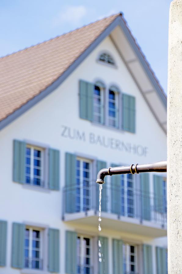 Gasthaus Zum Bauernhof Oberlunkhofen Exteriér fotografie