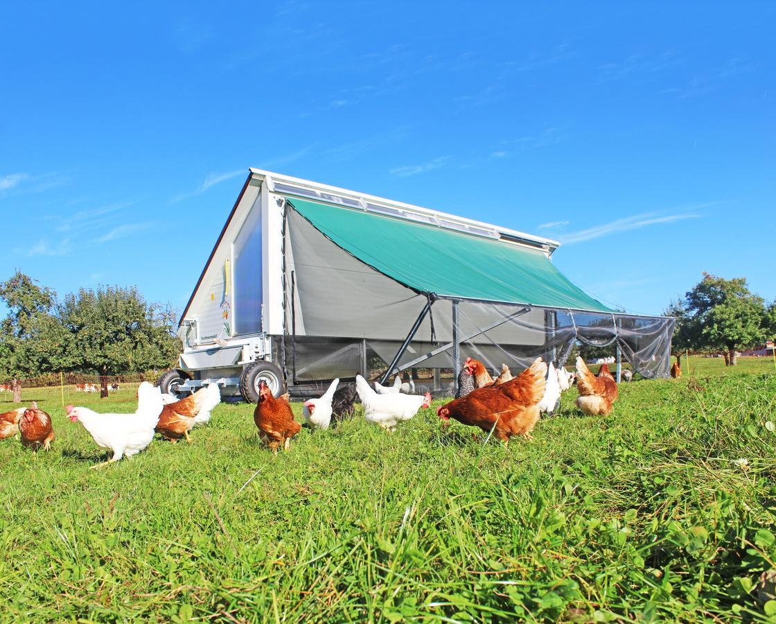 Gasthaus Zum Bauernhof Oberlunkhofen Exteriér fotografie